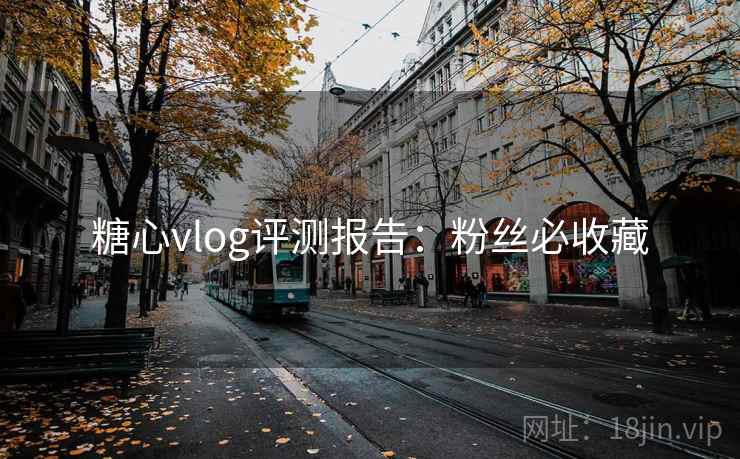 糖心vlog评测报告：粉丝必收藏