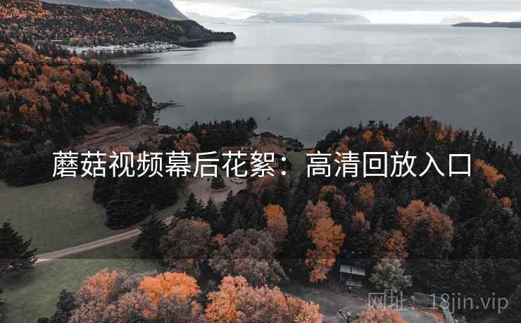 蘑菇视频幕后花絮:高清回放入口
