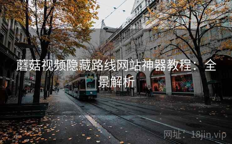蘑菇视频隐藏路线网站神器教程:全景解析
